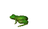 rana salta.gif
